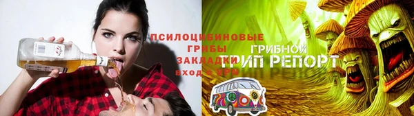прущие грибы Кукмор