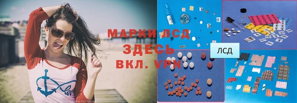 прущие грибы Кукмор