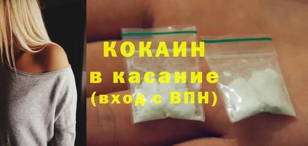 прущие грибы Кукмор
