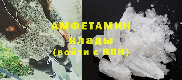 прущие грибы Кукмор